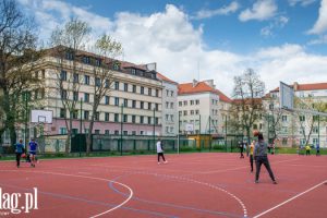 HALE ŁUKOWE NAD BOISKAMI W ELBLĄGU